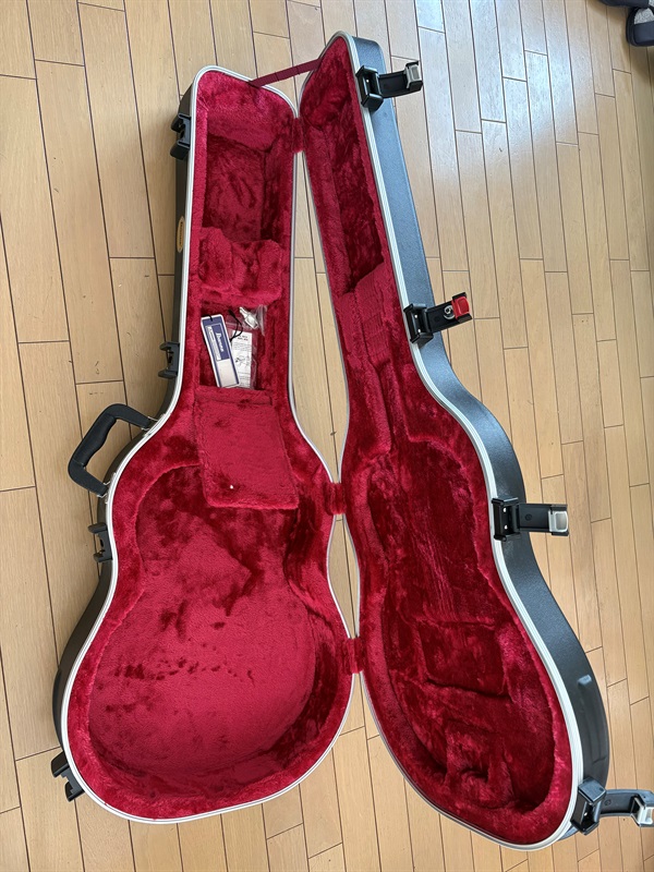 Ibanez AFC 151の画像